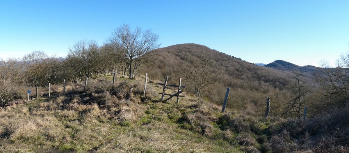 Mendurro Zanborragako mendietatik