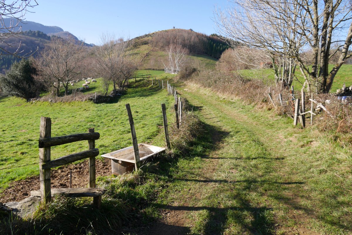 Mugallegi (Mullegi) Lizarzelaizabal lepotik