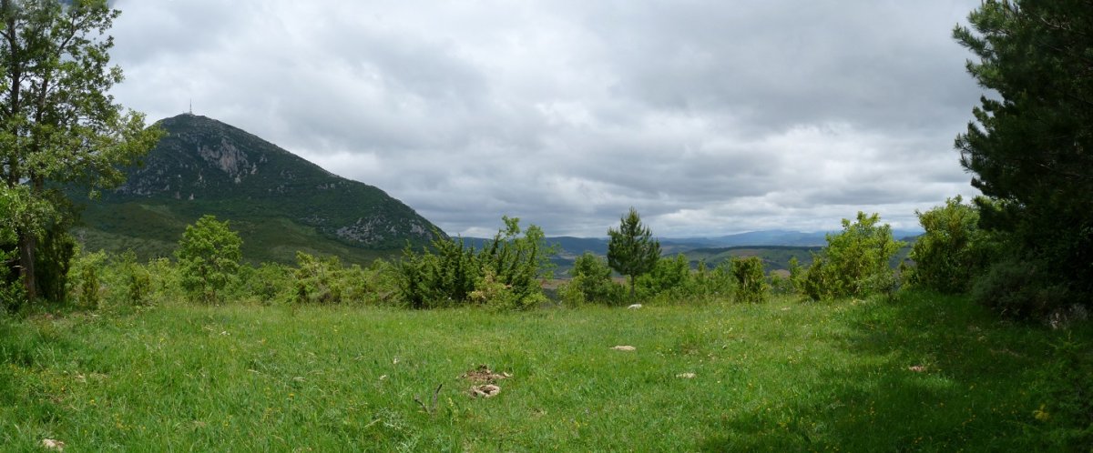 Ekisoain gaineko gailurra