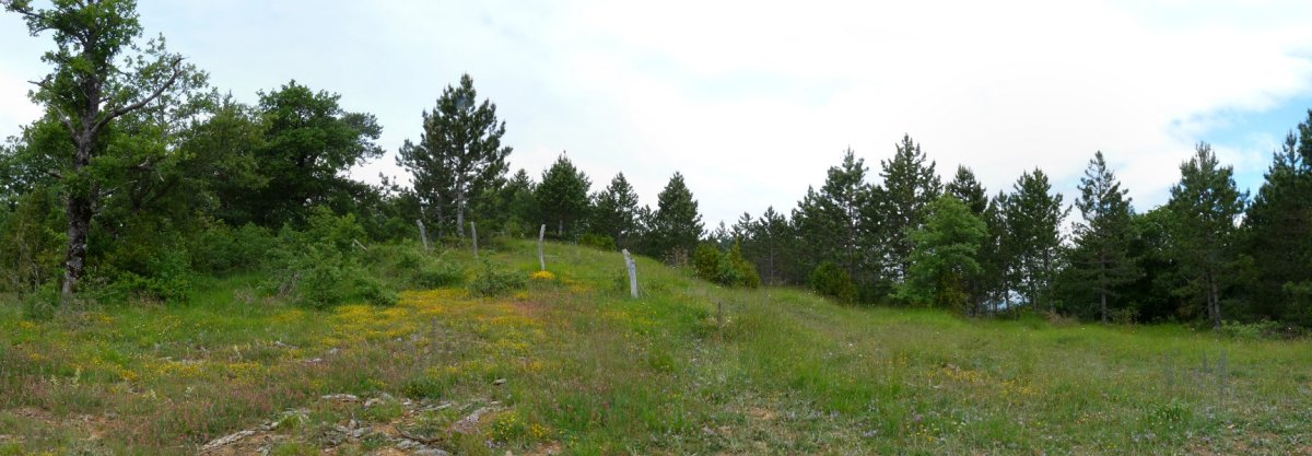 Ekisoain gaineko gailurra