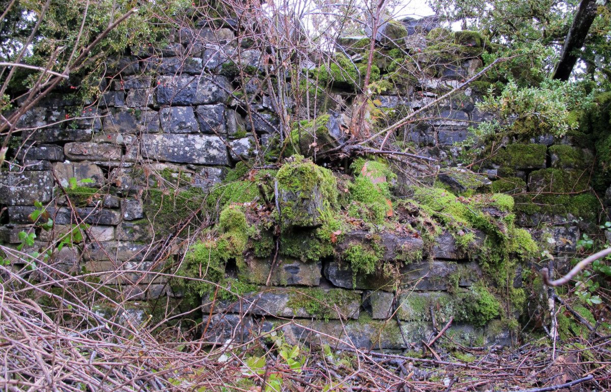 Santa Engrazia ermitaren hondakinak, Espartza