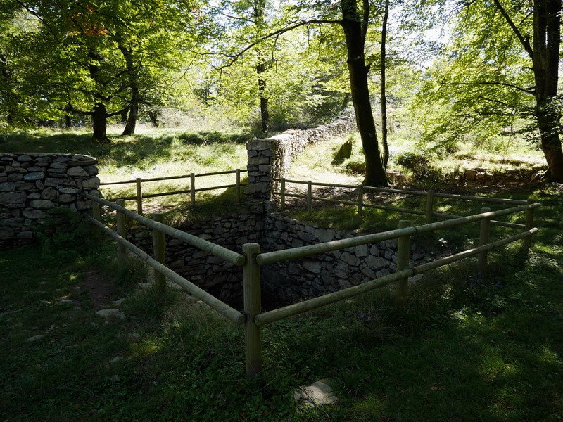 Santiagoko otsozulo zaharra