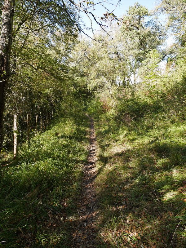 Untzaga eta Barrerilla mendatearen artean