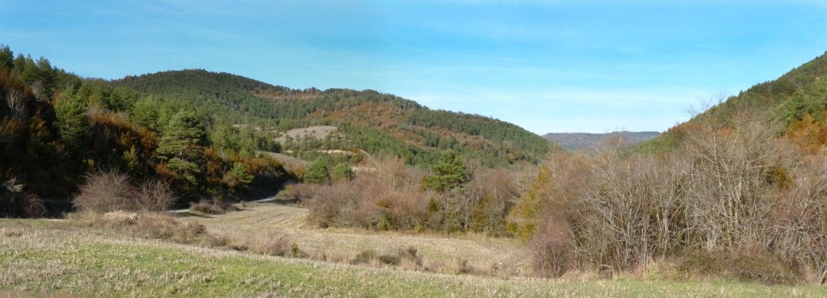 Remonasa Zerrenkanoko ibarretik