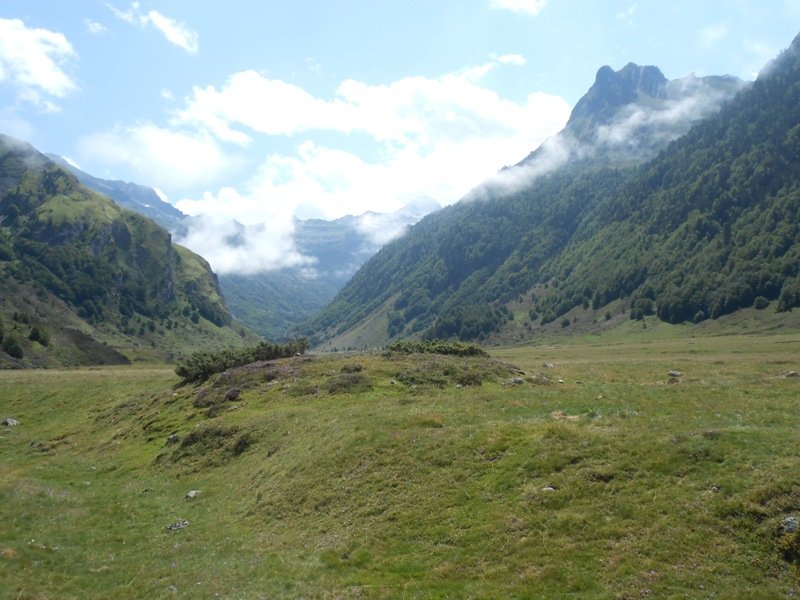 Soussoueou trikuharria