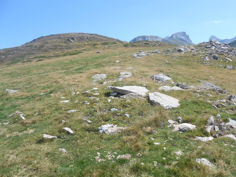 Gourzy 5 trikuharria