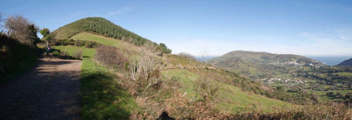 Hego-ekialdetik ikusita