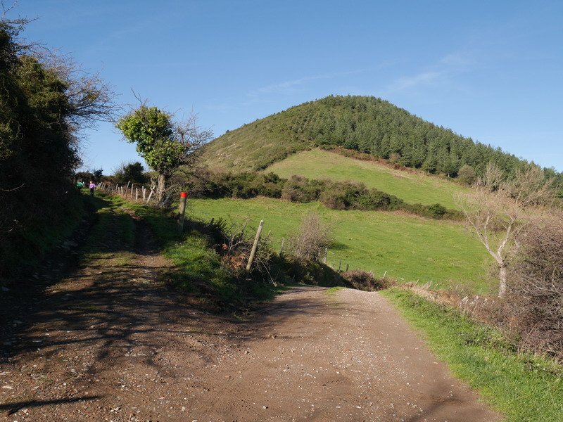 Hego-ekialdeko lepora iristen