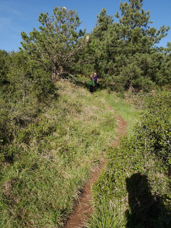Hego-ekialdetik igozen den bidezidorra