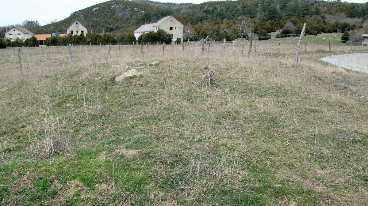 Llano de Erremendia tumulua, Jaurrieta