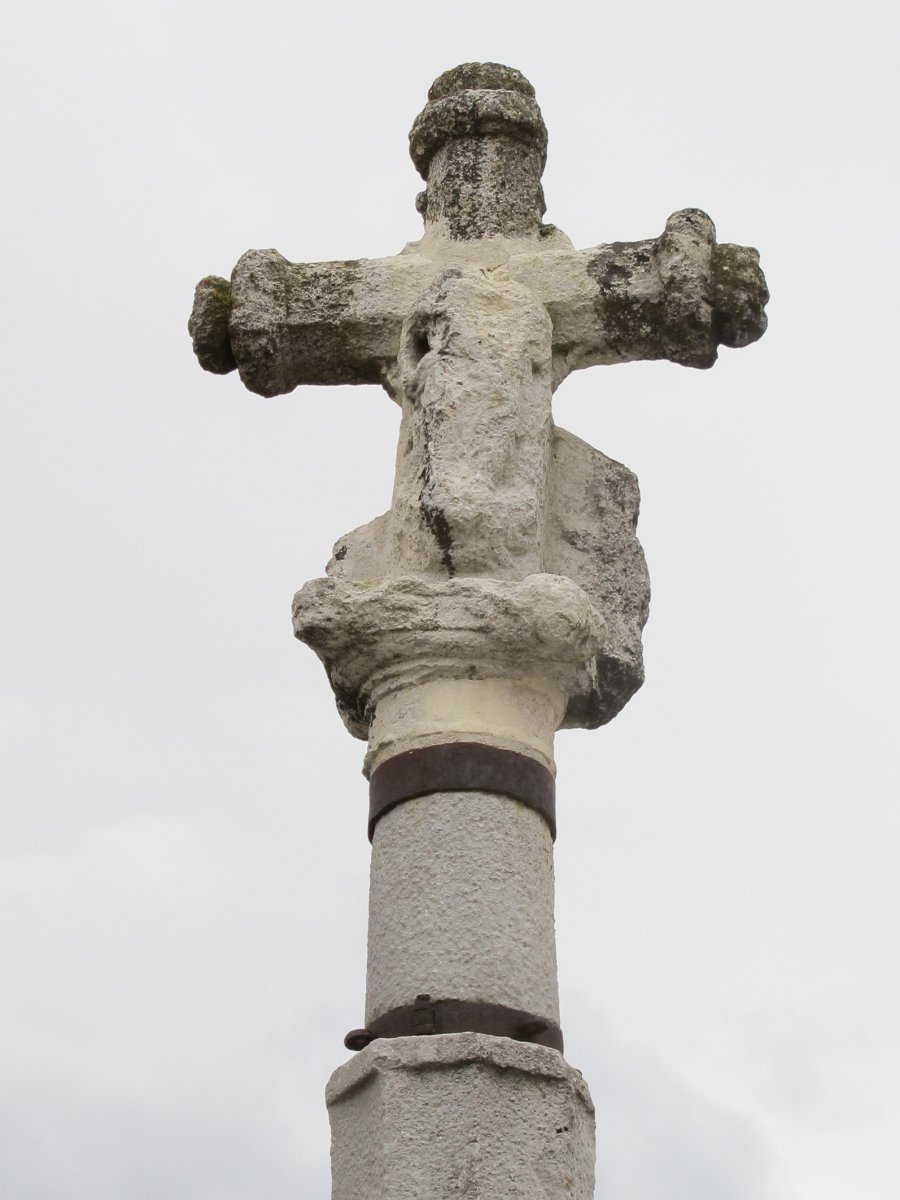 Kruzeroa, Abaurregaina