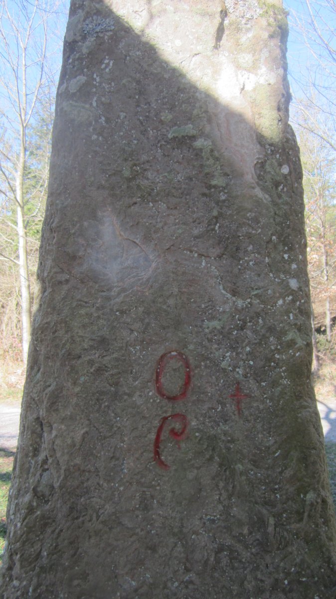 Menhir Aizpikoarri  (Marzo 2017)