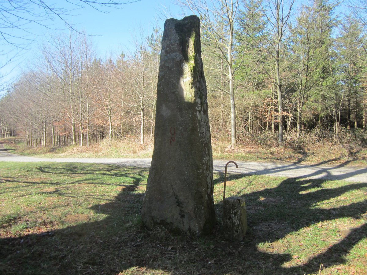 Menhir Aizpikoarri  (Marzo 2017)