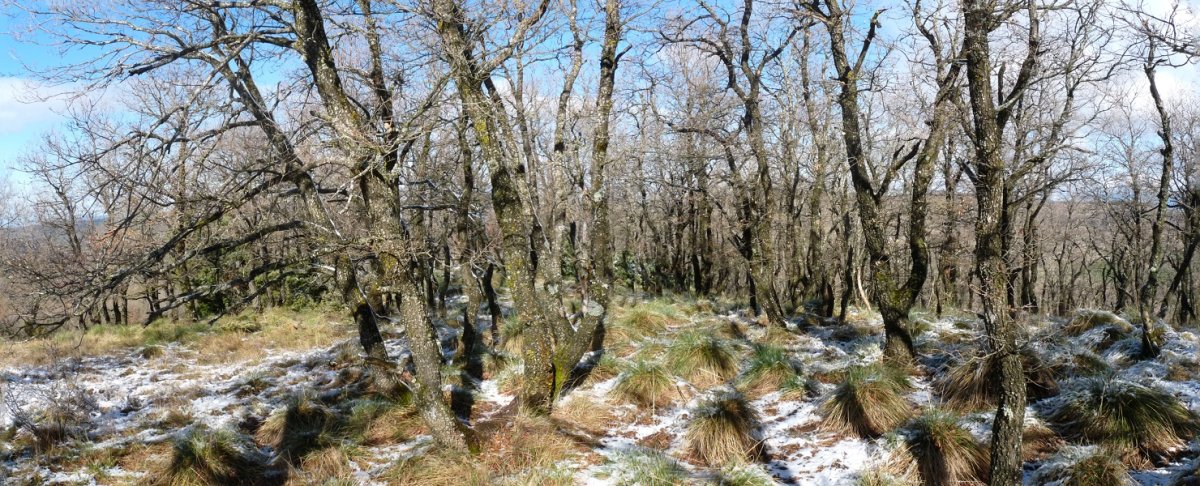 Valdearagongo gailurra (930m)