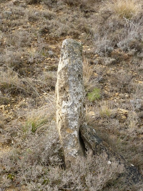 Zutarri itxurako harri bat Puig Pereroren hegian