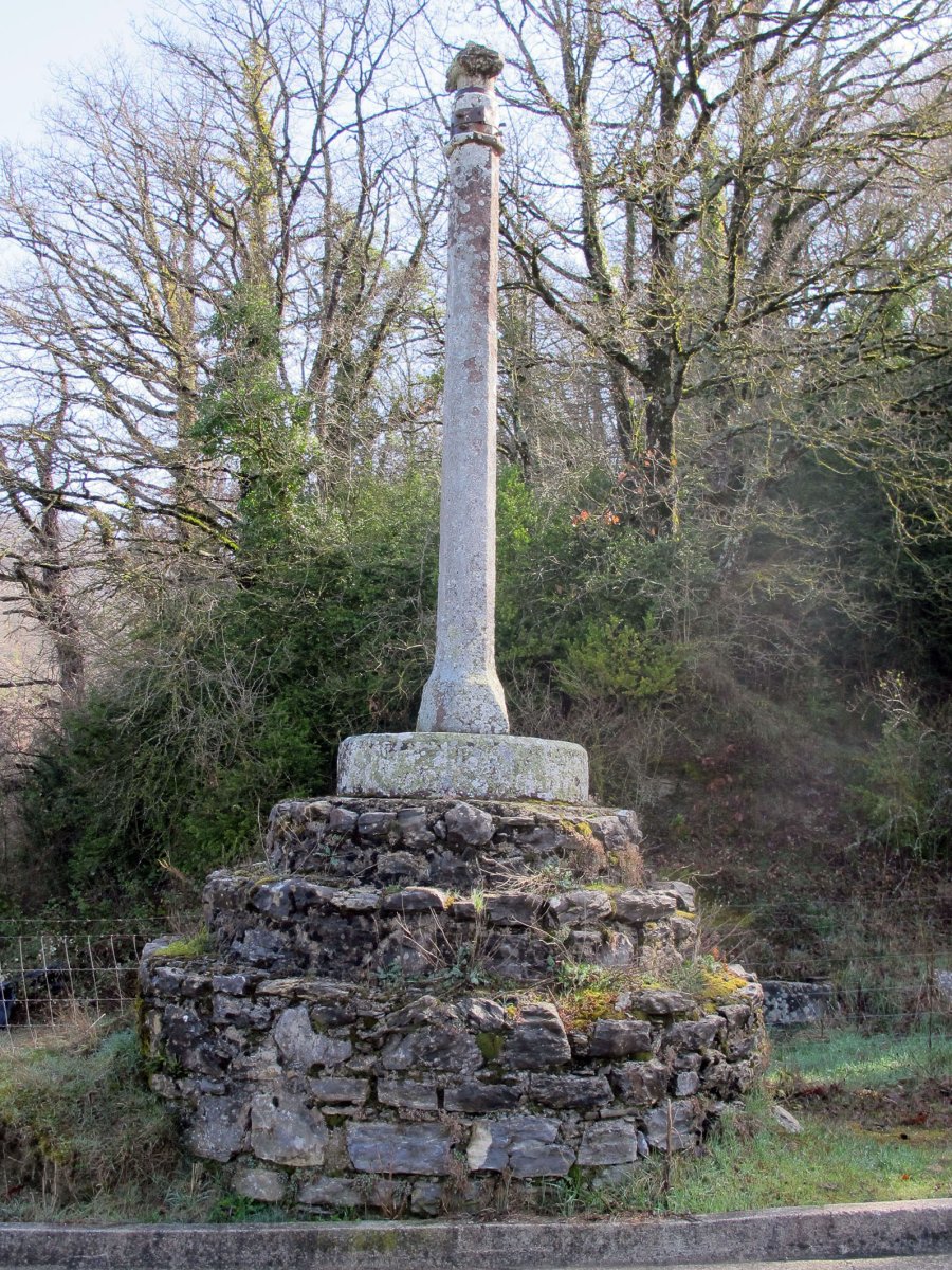 Kruzeroa, Abaurrepea