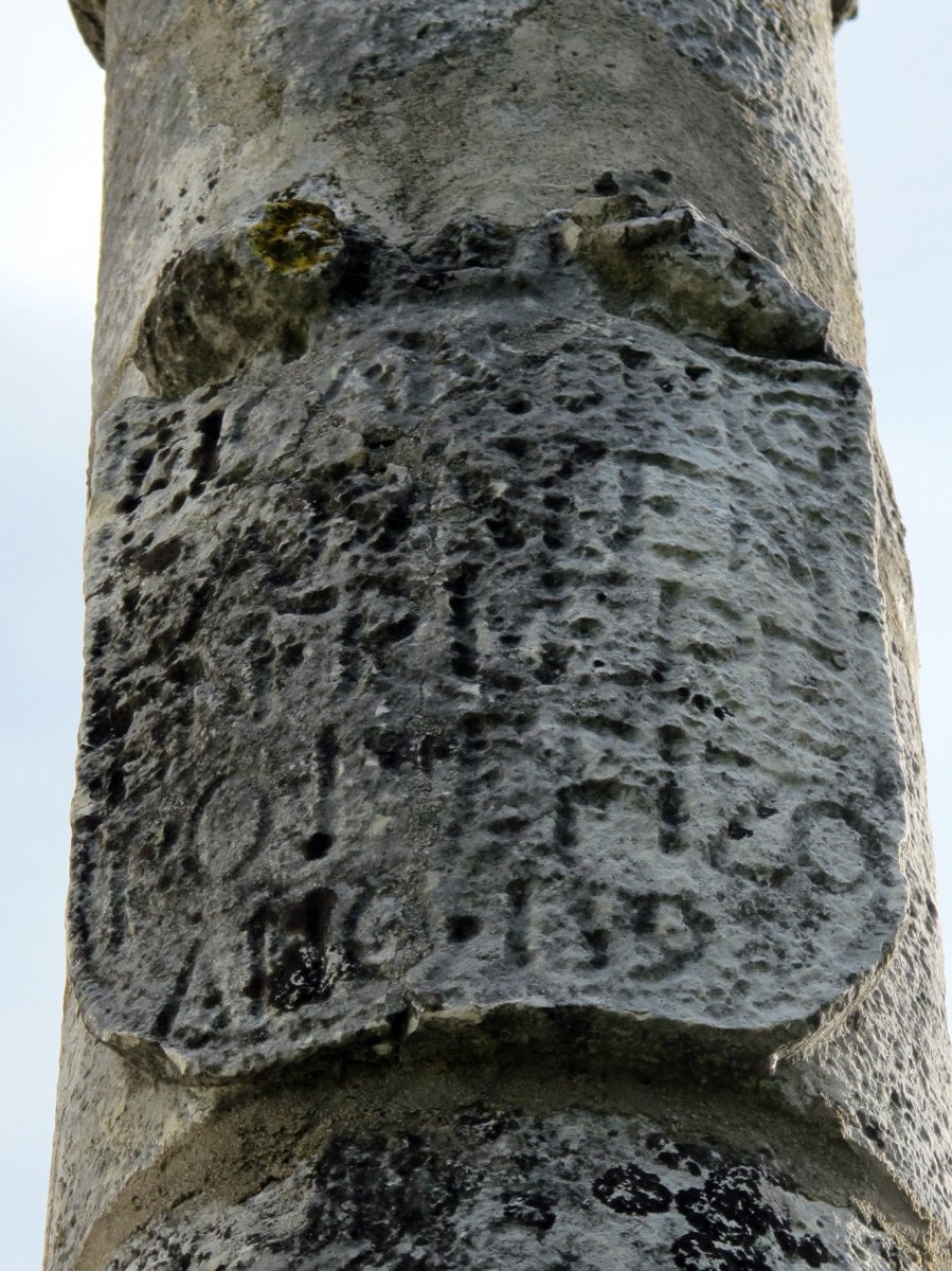 Kruzeroa, Beintza Labaien