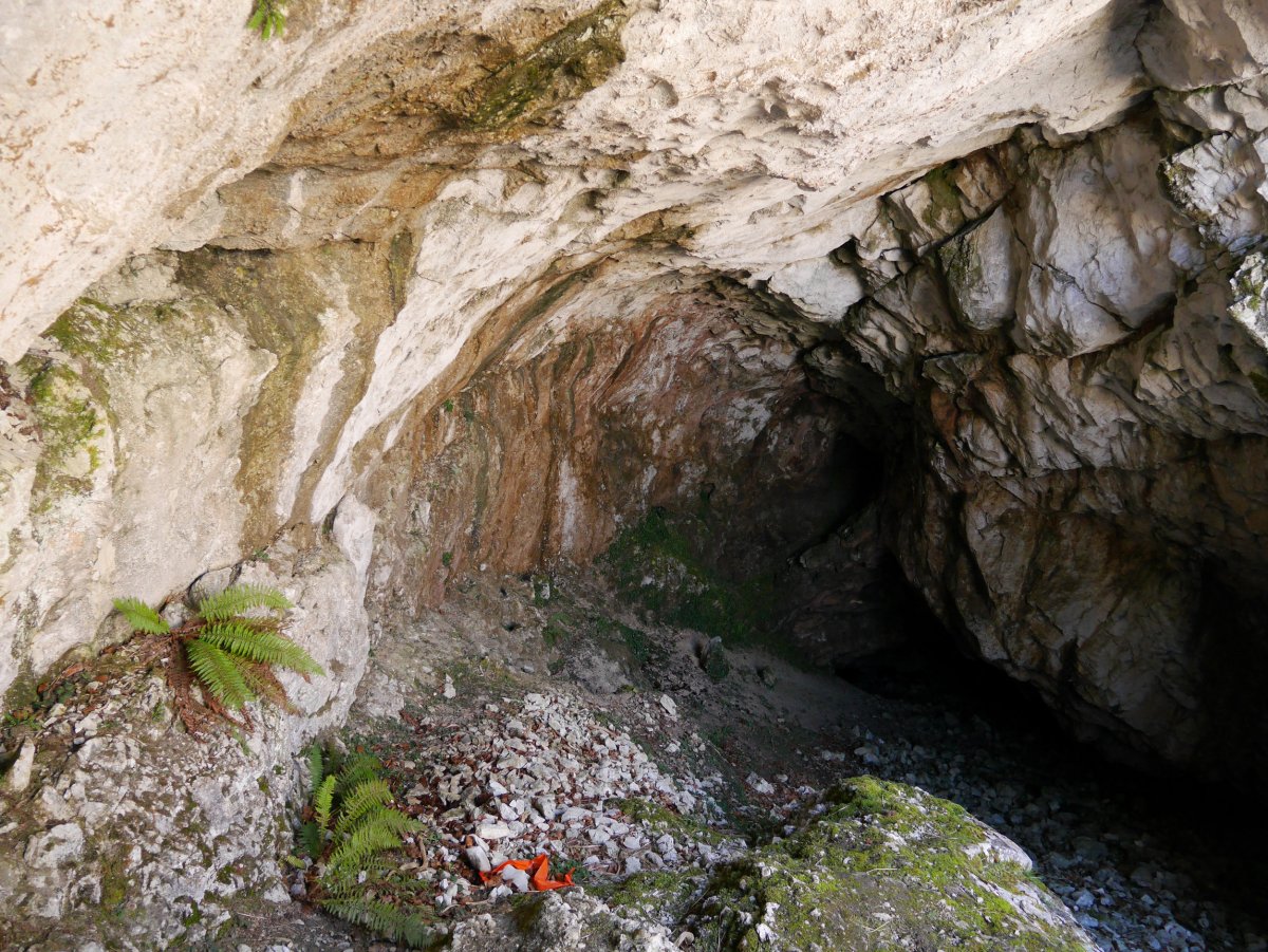 Aratzelai koba, Aratz