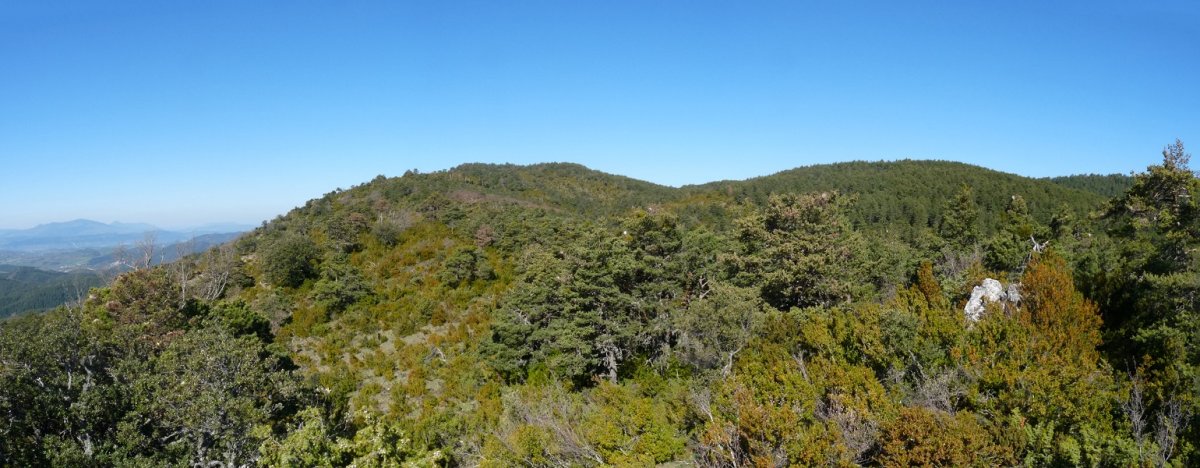 Carrascal mendiia Lezapeko gailurretik 