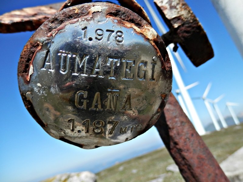 Buzoi Zaharreko Plaka