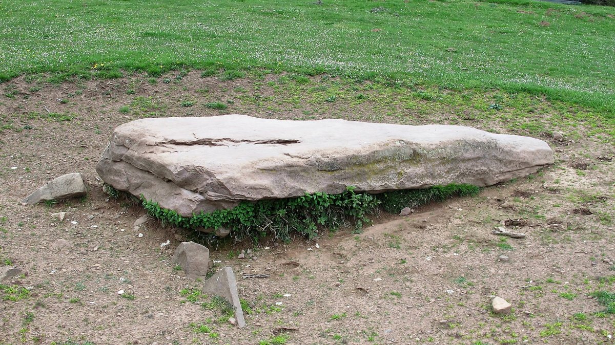 Iruregieta zutarria, Garaioa