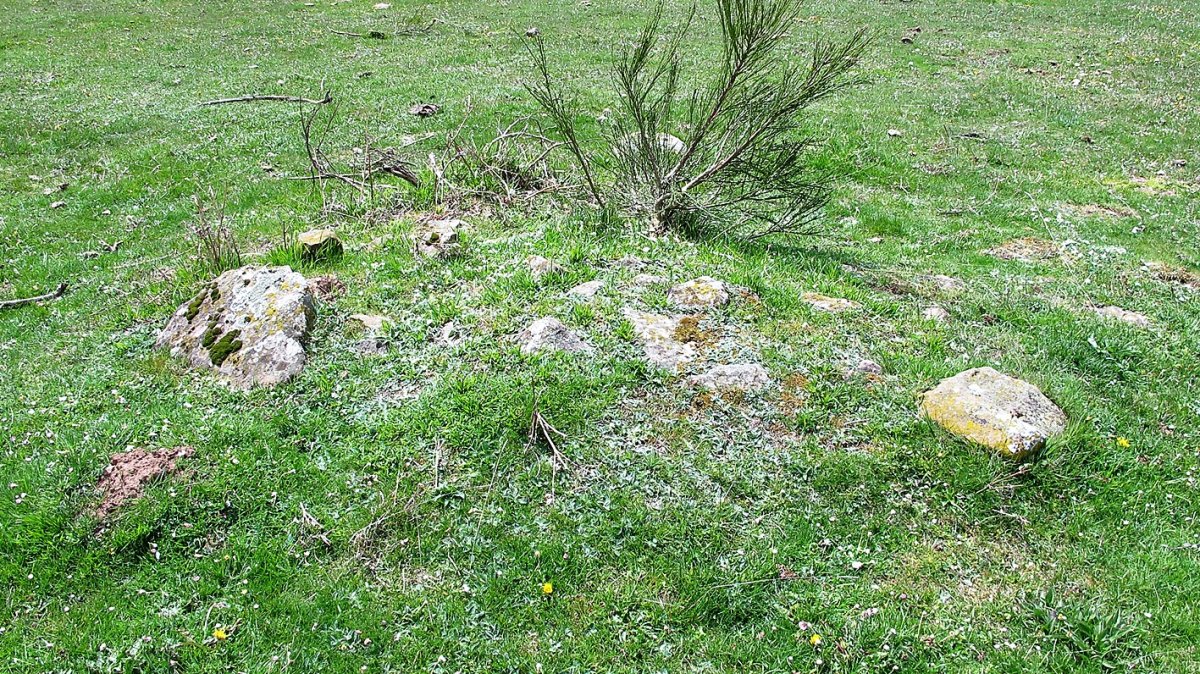 Irurigieta tumulua, Garaioa