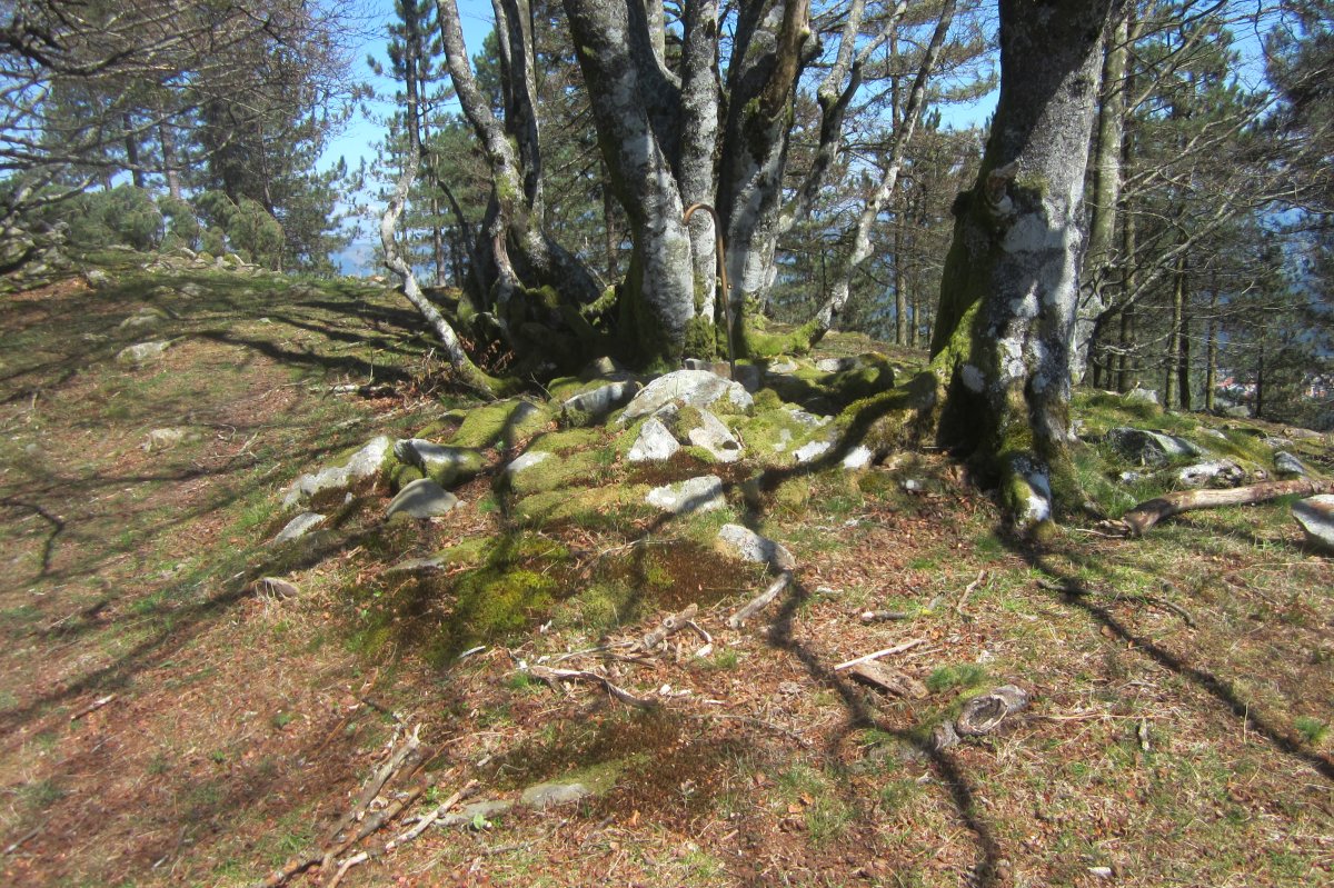 Túmulo Oregi  ( Abril  2017)