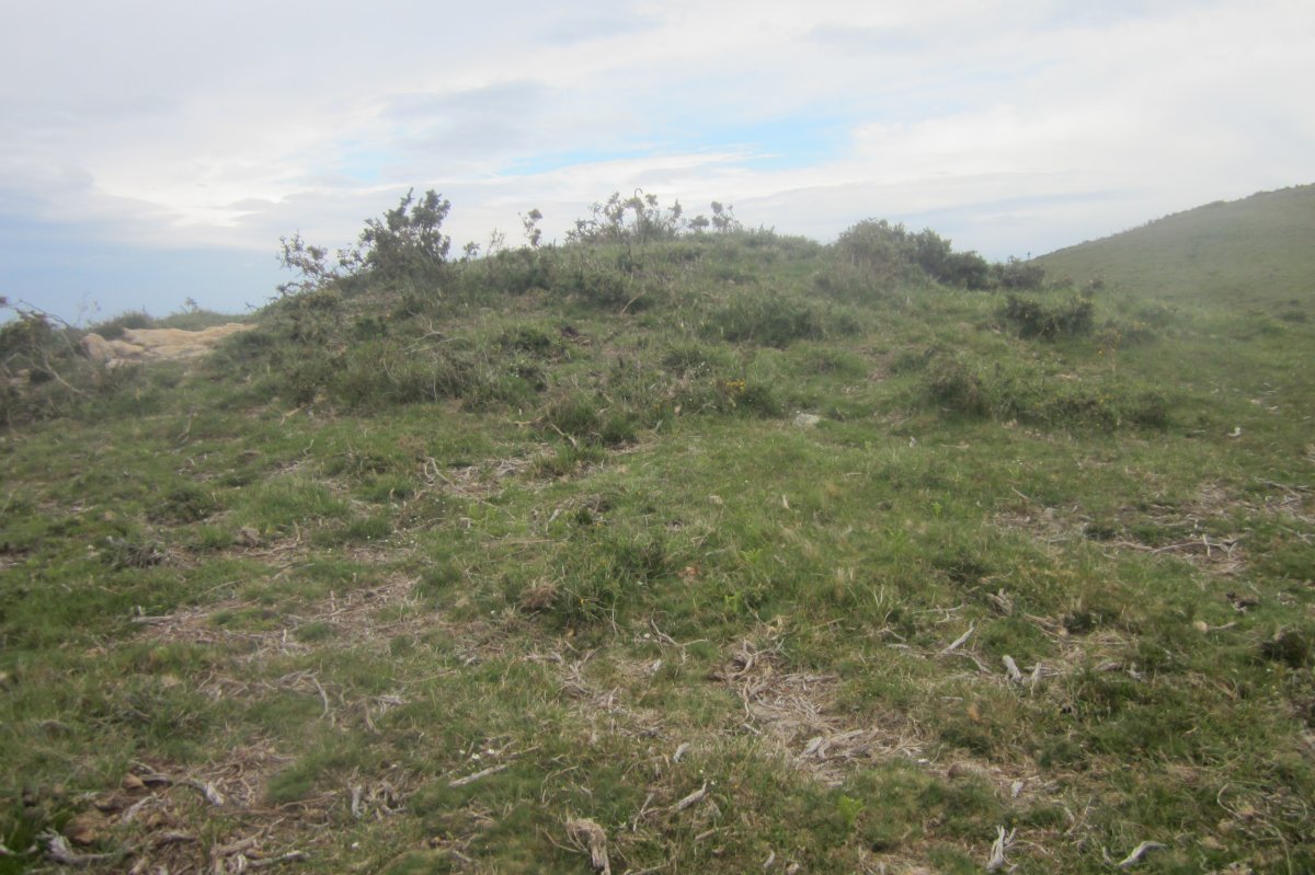 Túmulo Mandale  (Mayo  2017)