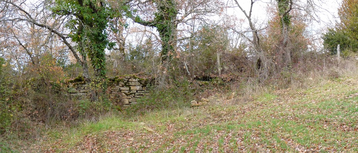 Santa Konstanza, erdi aroko herrixkaren hondakinak