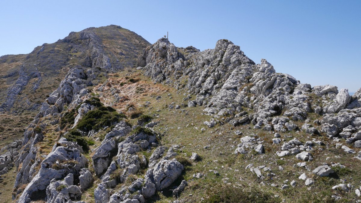 Argorri tontorra, atzean Aratz duela