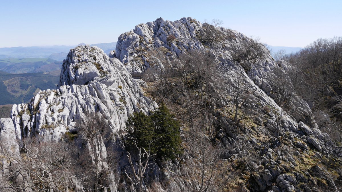 Beste tontor harritsu bat HEan: Aitxiki