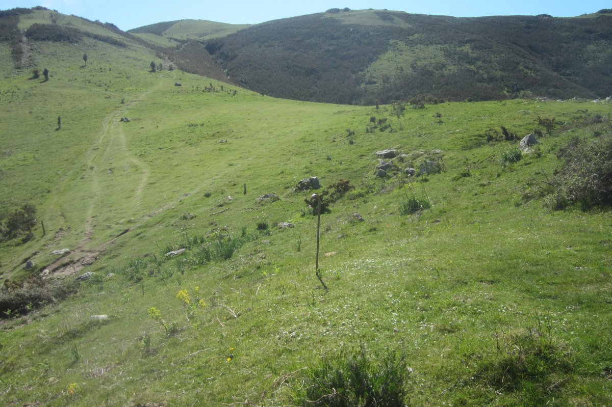 Fondo de Cabaña Faalegi  (Abril  2017)
