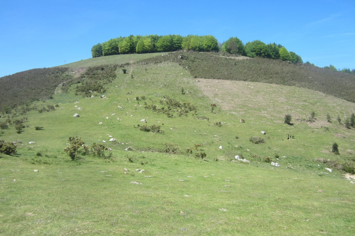 Fondo de Cabaña Faalegi  (04-2017)