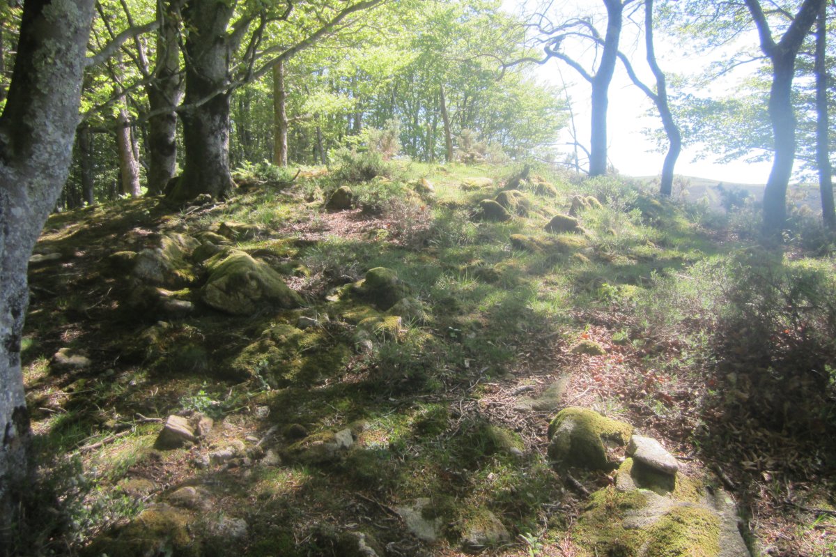 Túmulo Faalegi  (04-2017)