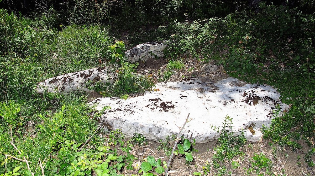 Kabilarte trikuharria, Zuntzarren-Lizoanibar