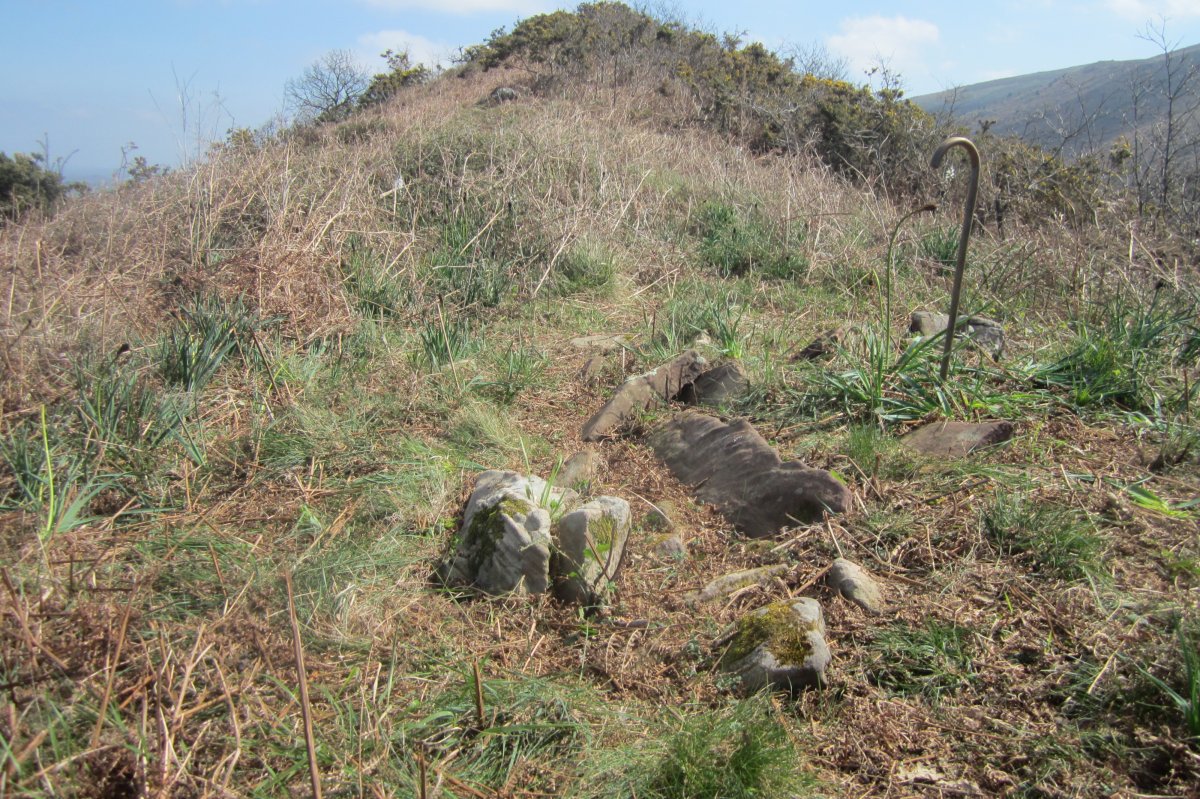 Dólmen Lumberde (Marzo 2017)