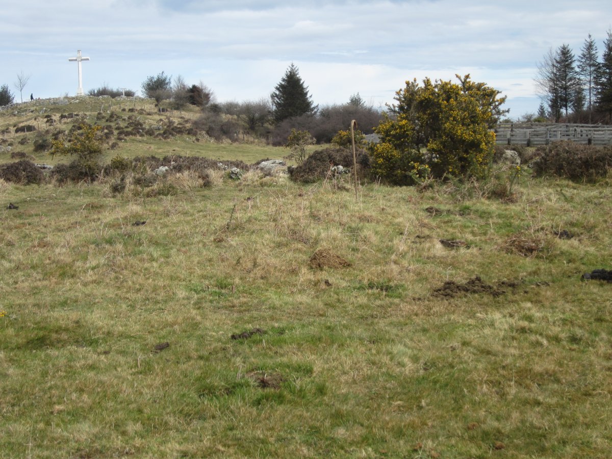 Fondo de Cabaña Urruztume I  (Marzo  2016)