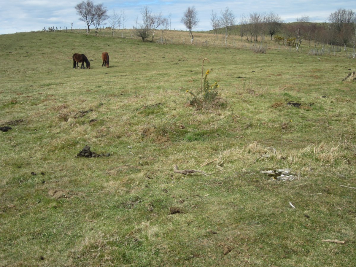 Fondo de Cabaña Urruztume I  (Marzo  2016)