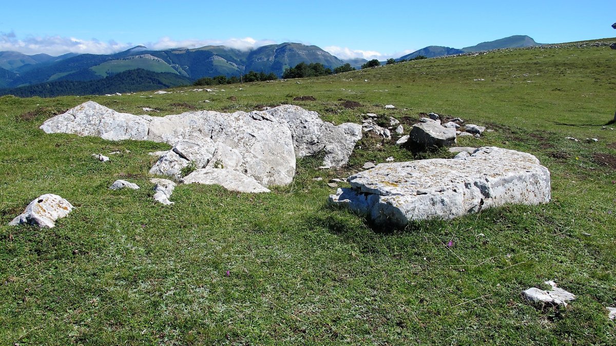 Arrizabala trkuharria, Otsagabia