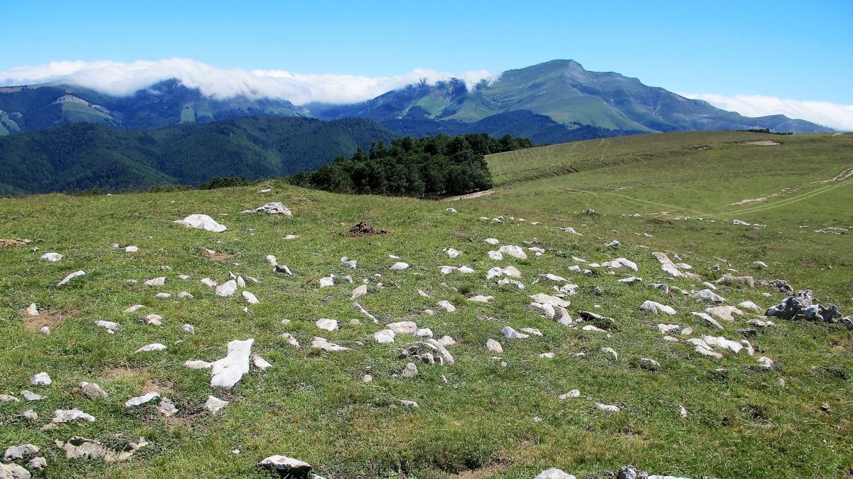 Bortubizkarra 1 ekialde trikuharria, Otsagabia