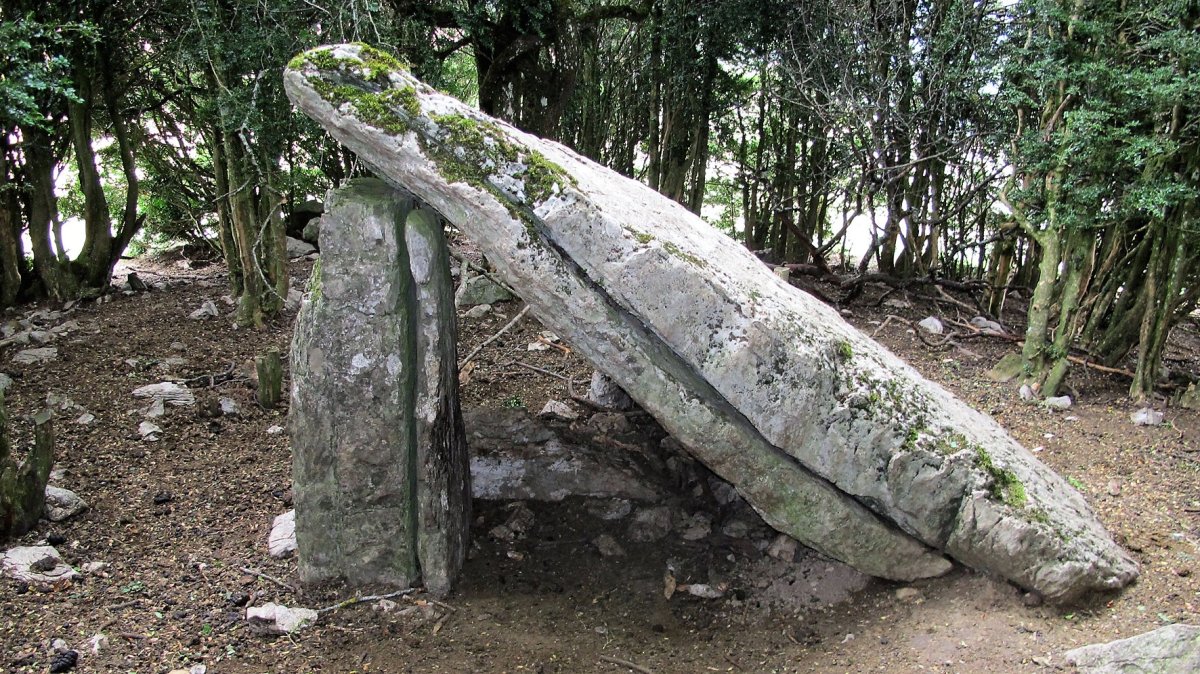 Landabizkarra trikuharria, Otsagabia