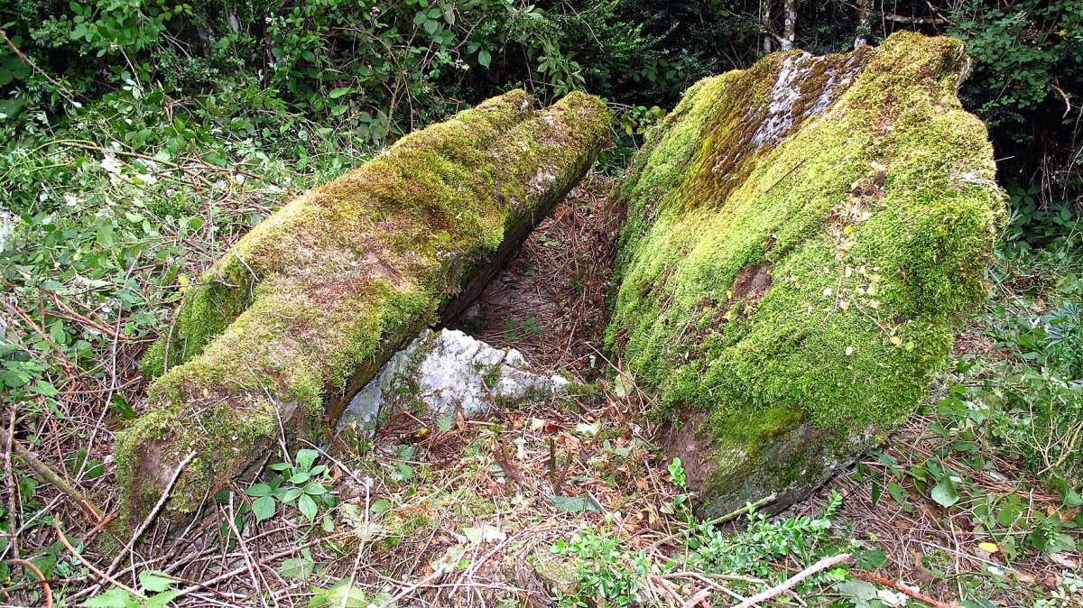 Larburua trikuharria, Otsagabia