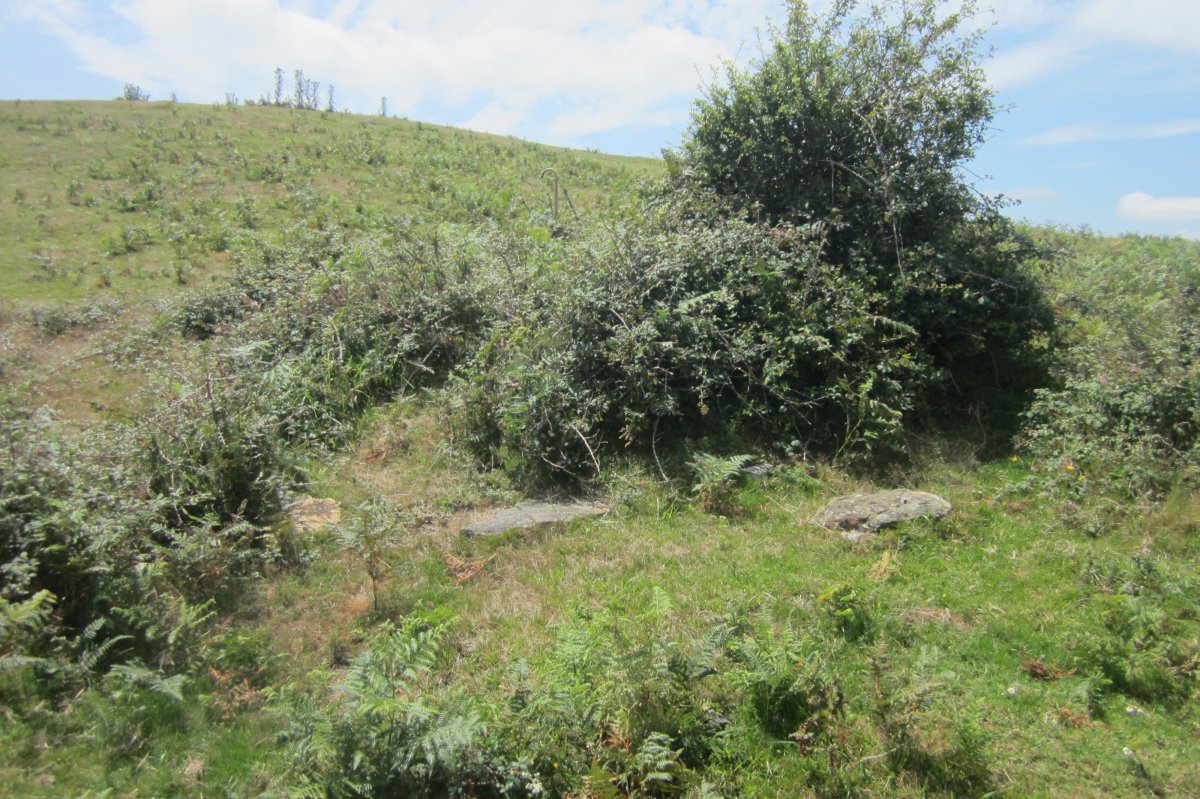 Túmulo Unzilla 1  (Julio 2017)