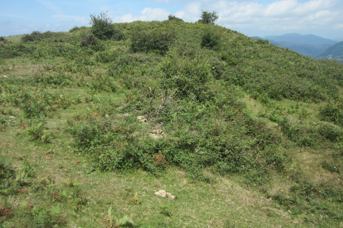 Túmulo Unzilla 1  (Julio 2017)