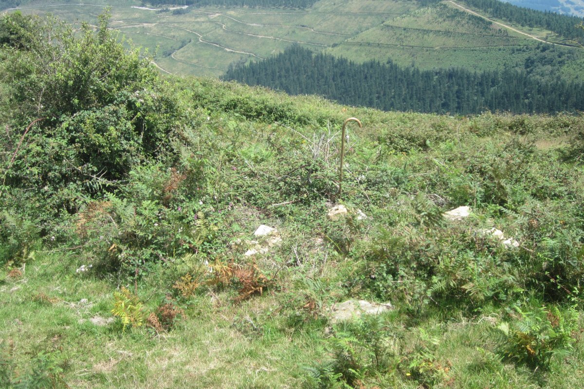 Túmulo Unzilla 1 (Julio 2017)