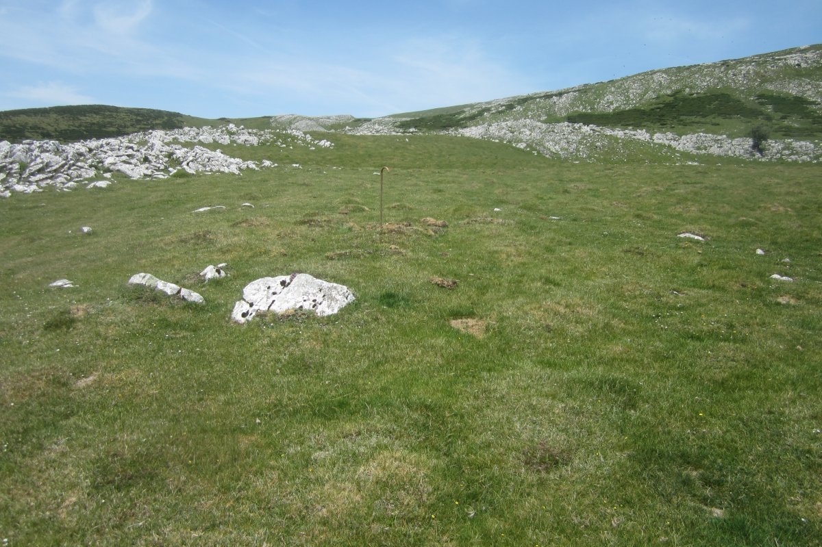 Cromlech Illobi 1   (Mayo 2017)