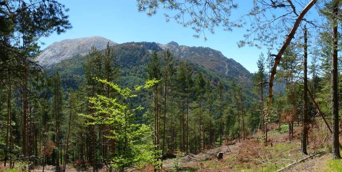 Ikuspegi mugatuak, Ezkaurre gainen aldera