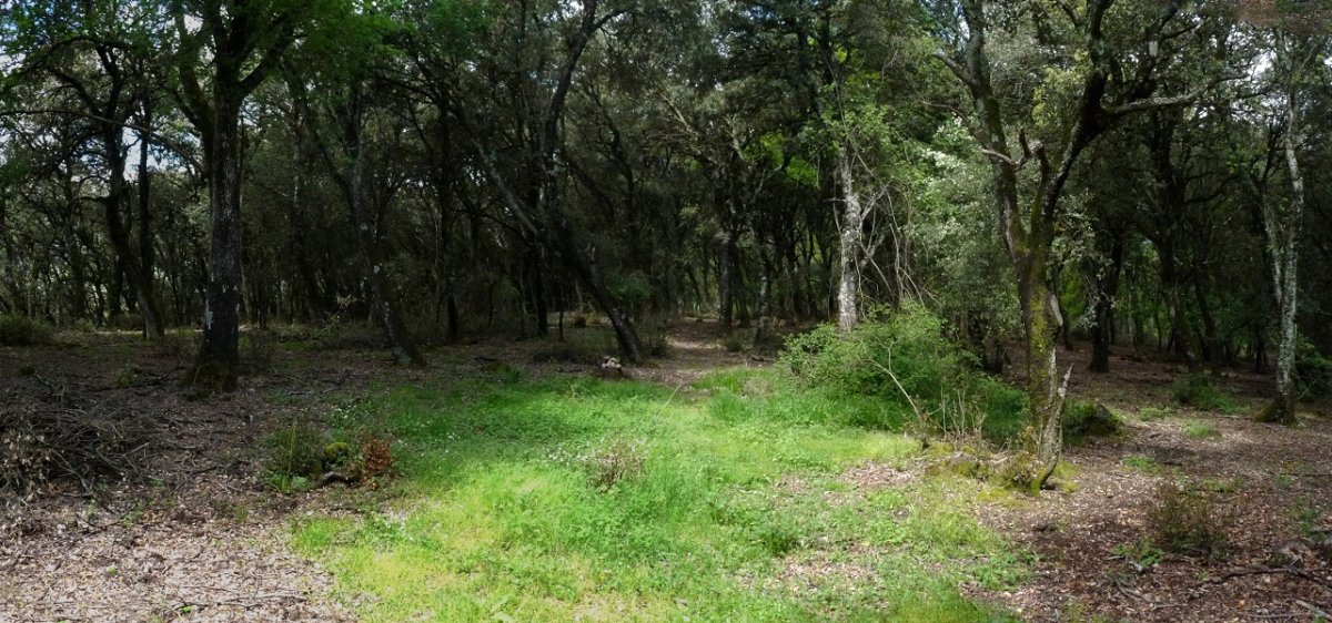 Zabalgaineko gailurra