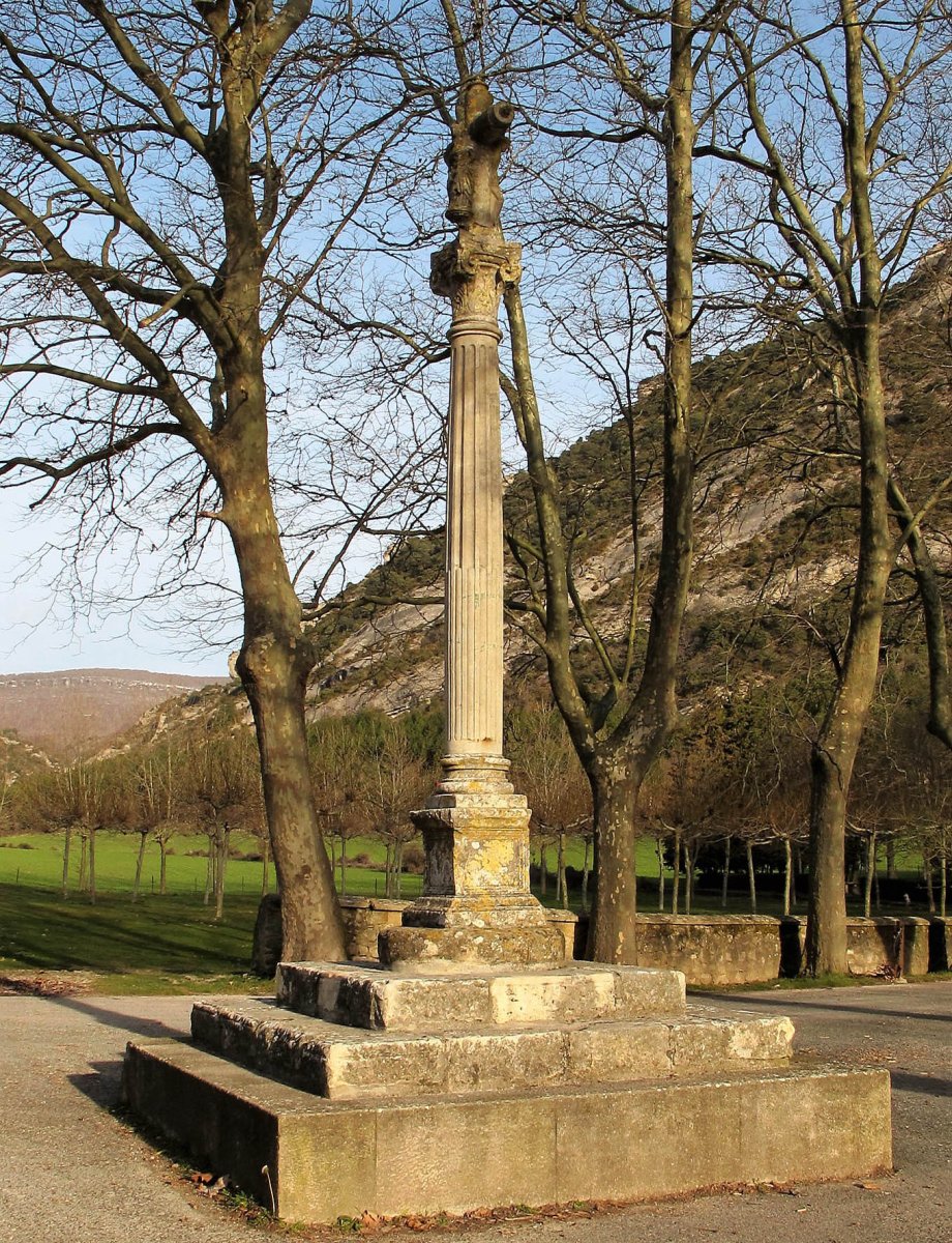 Irantzu kruzeroa, Abartzuza