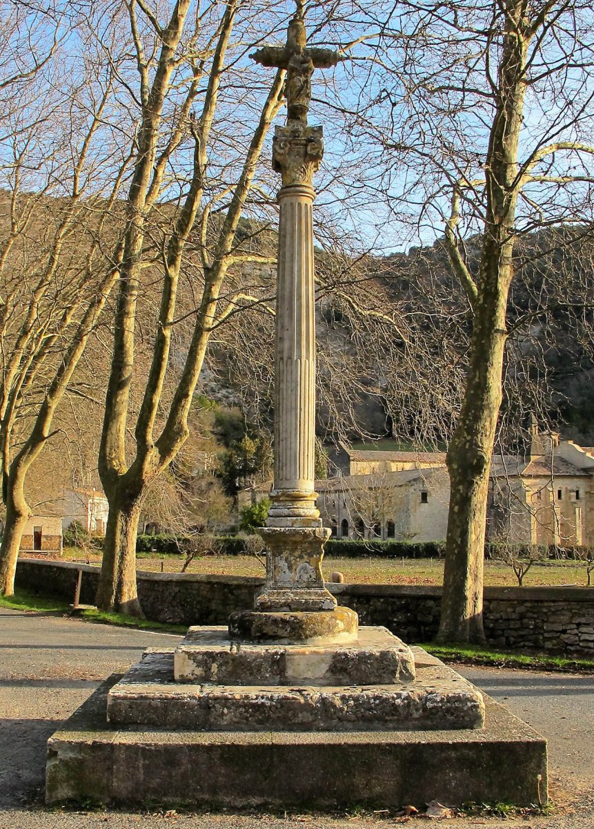 Irantzu kruzeroa, Abartzuza